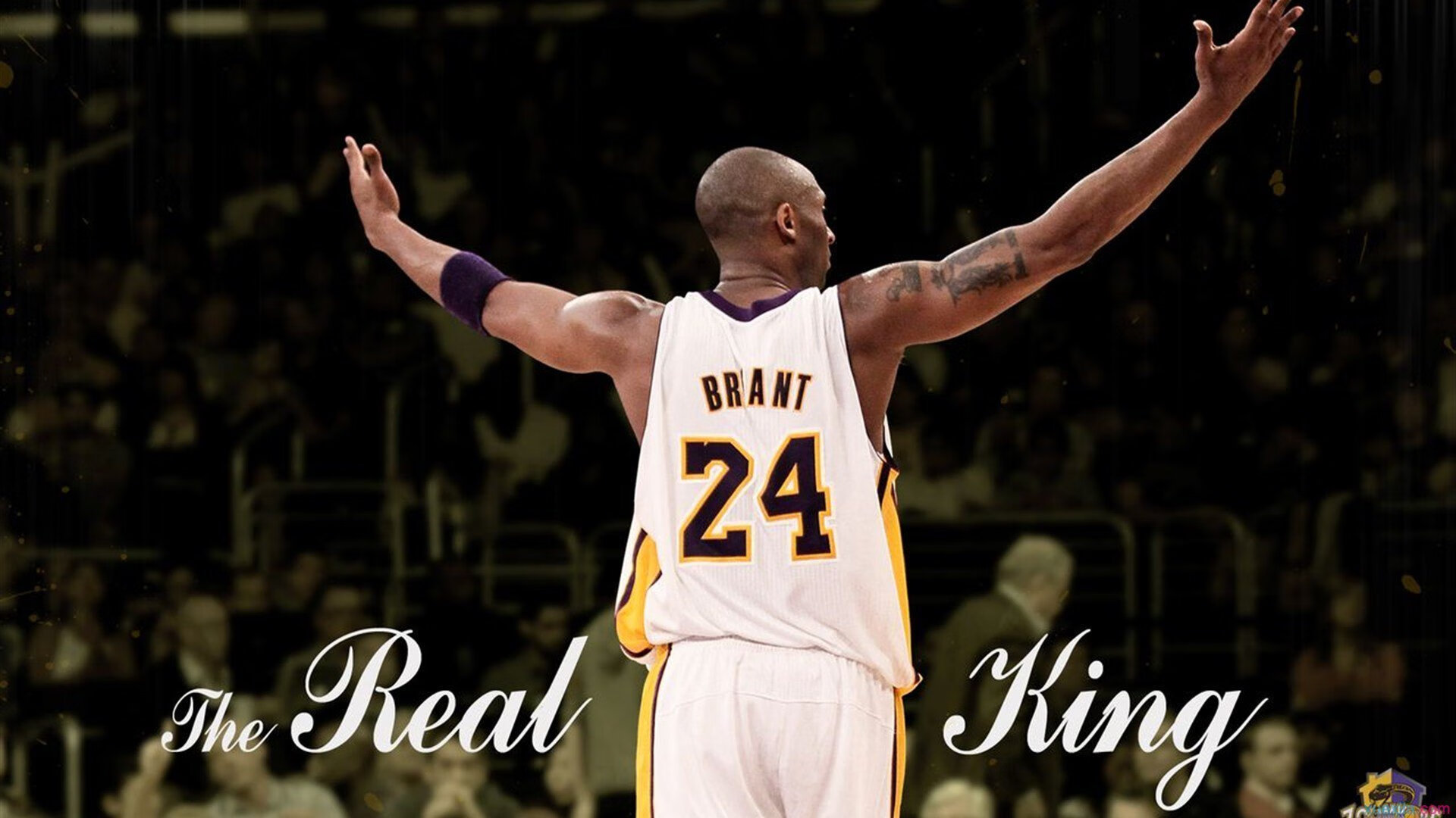 雄鹿节奏掌控尼克斯，锡安在世界排名争夺战接管比赛