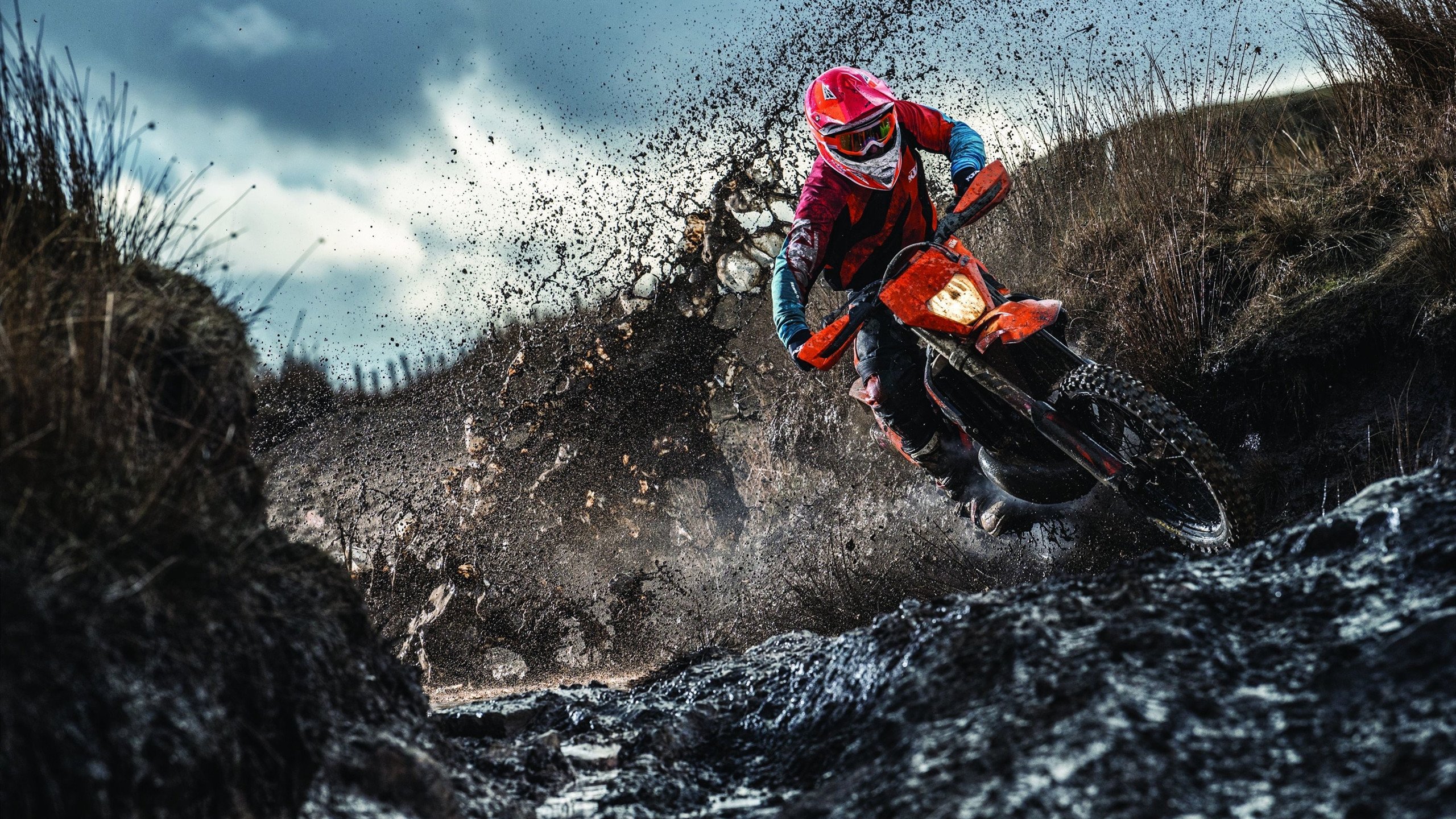 橙衣军团的黄昏，加纳以闪电风暴，在死亡之组撕开郁金香的迷雾